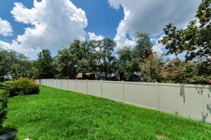 Backyard1