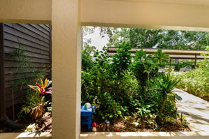 Entry View