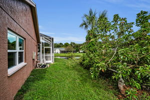 Backyard1