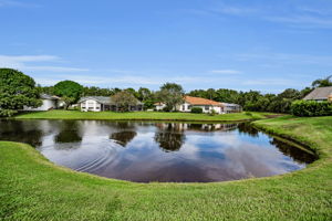 Backyard4