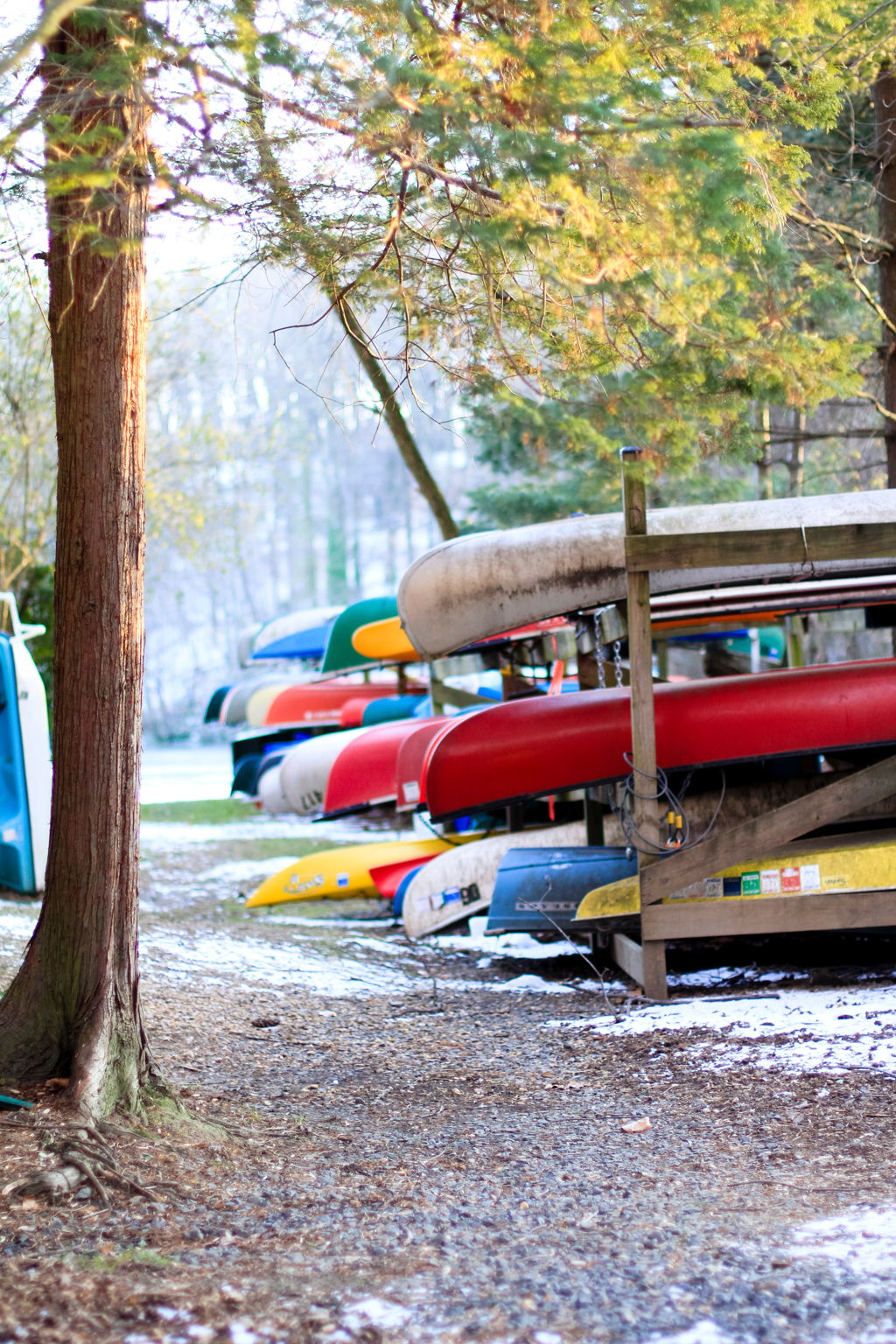 Lake Barcroft - swimming, boating, fishing + more!