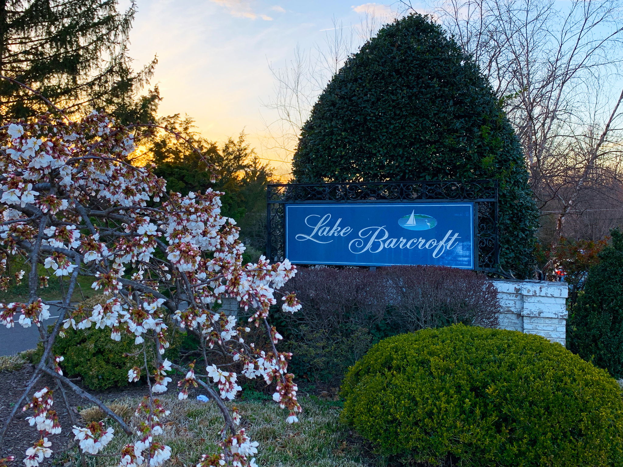 Lake Barcroft - swimming, boating, fishing + more!