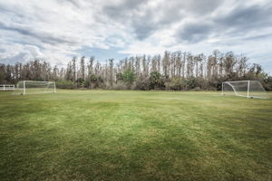 Soccer Field