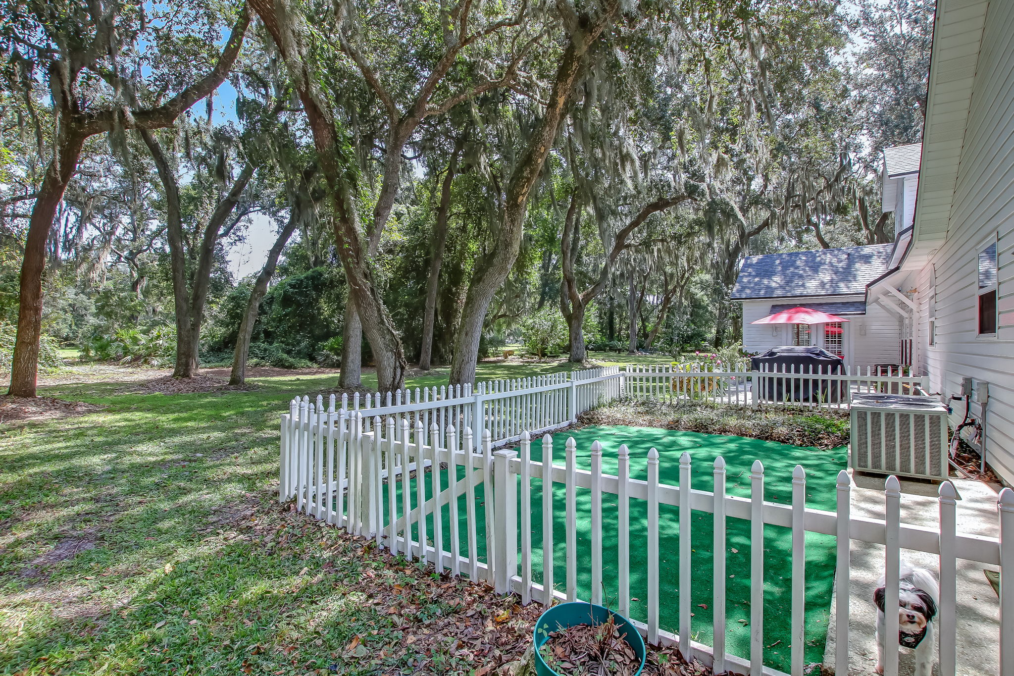 Backyard