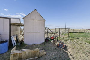  Photo 39