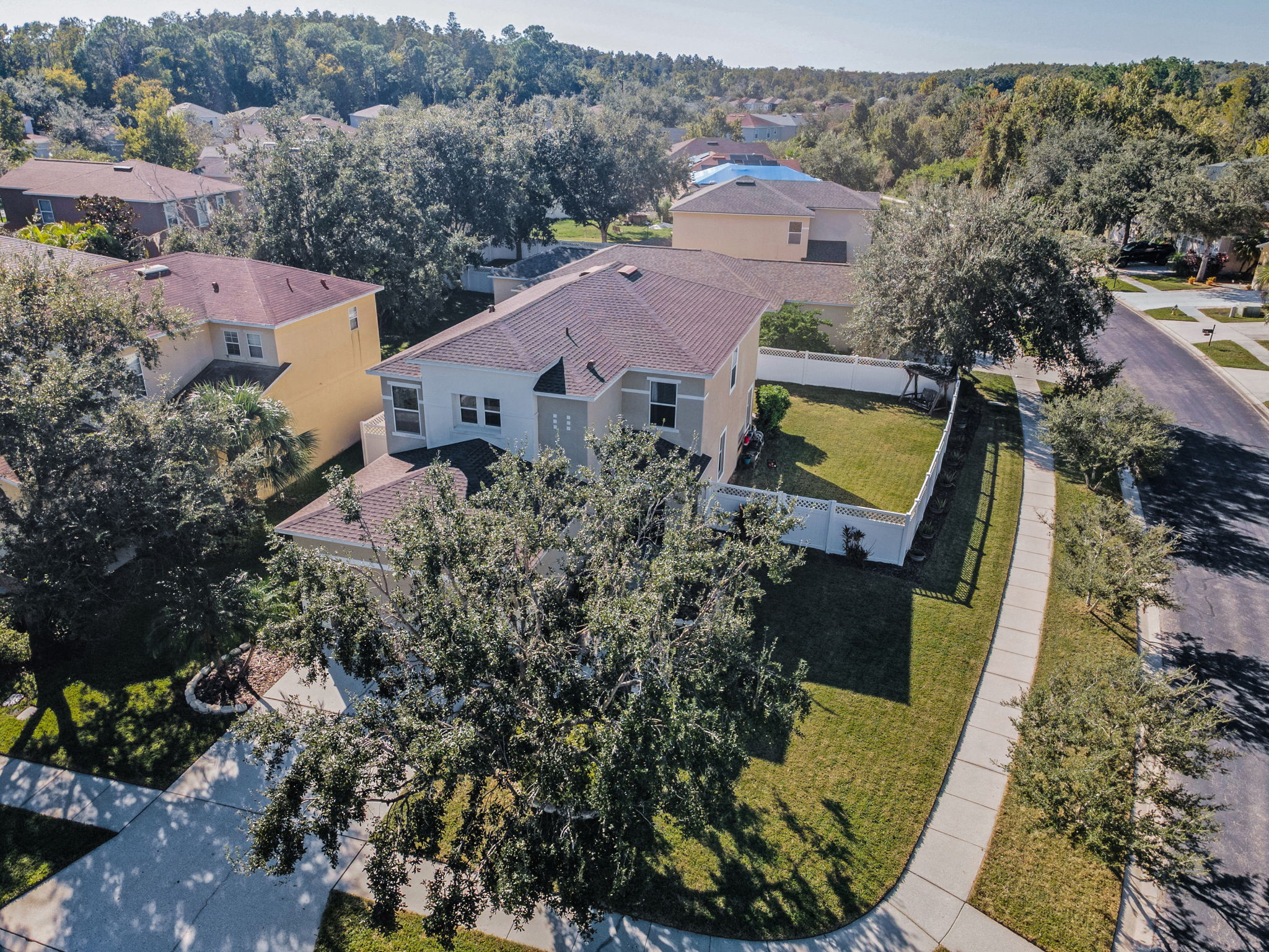 Aerial1