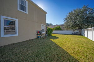 Backyard2