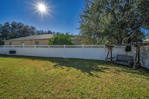 Backyard3