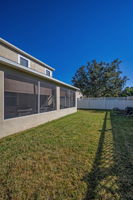 Backyard4