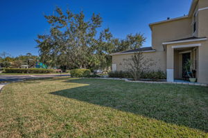 Frontyard