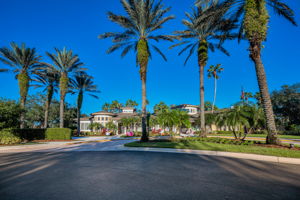 Clubhouse1