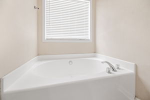Image-19