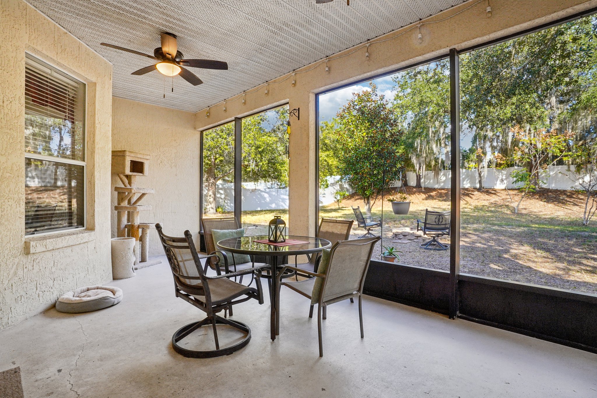 Spirit Ct-S2511-035.jpg