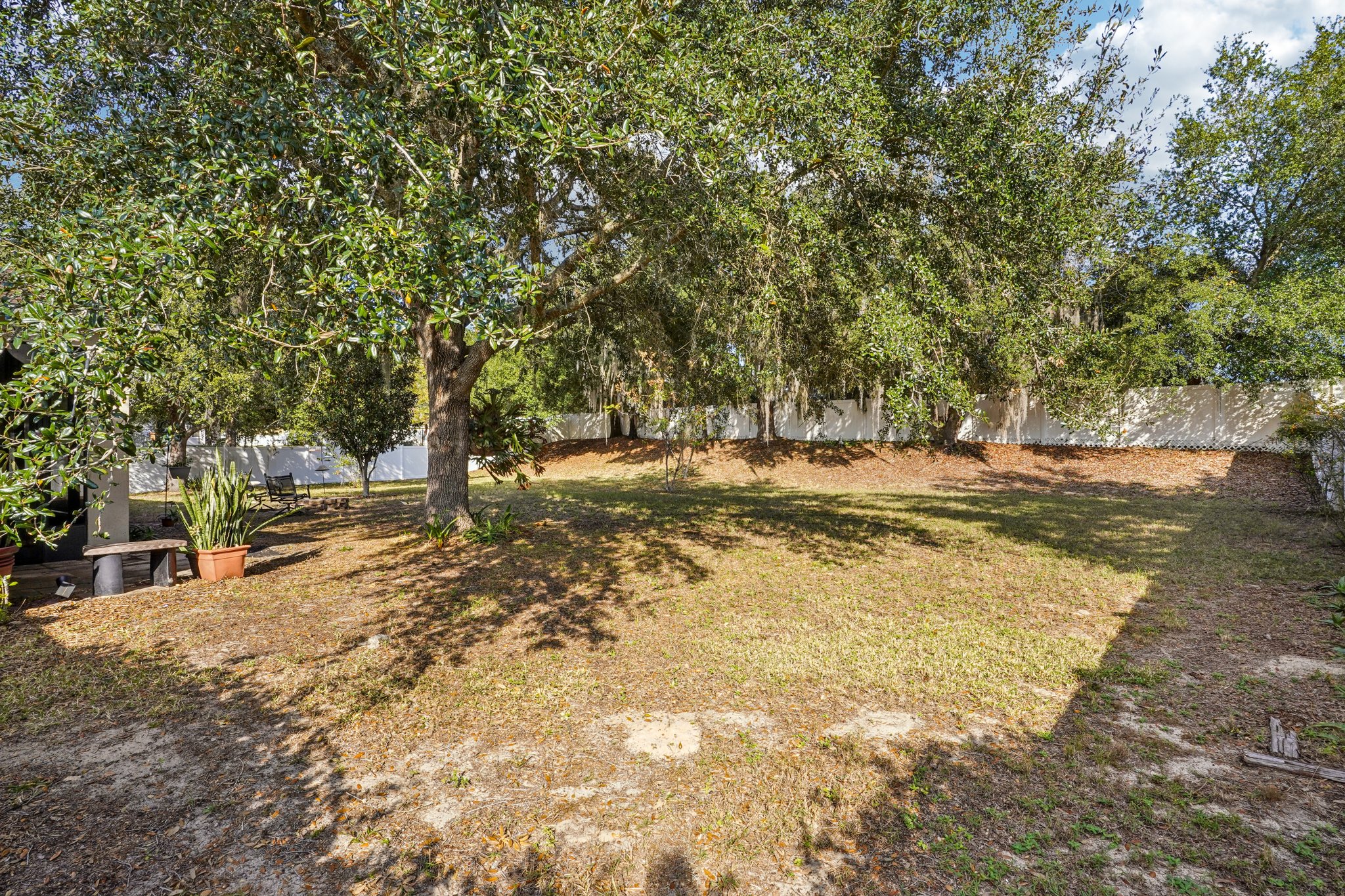 Spirit Ct-S2511-038.jpg