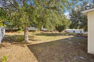 Spirit Ct-S2511-042.jpg