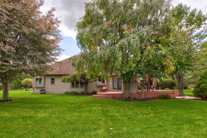  Photo 48