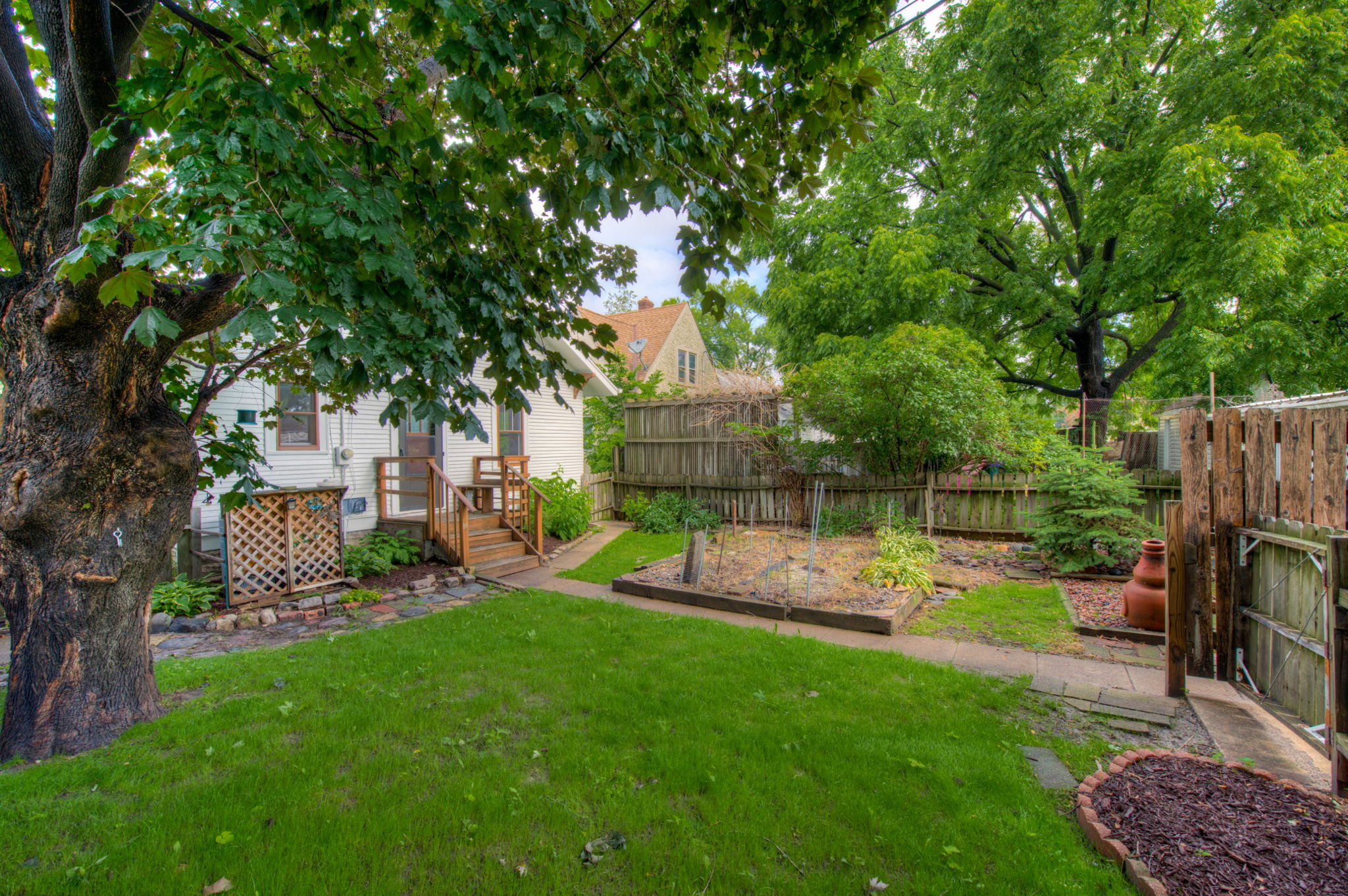 Backyard