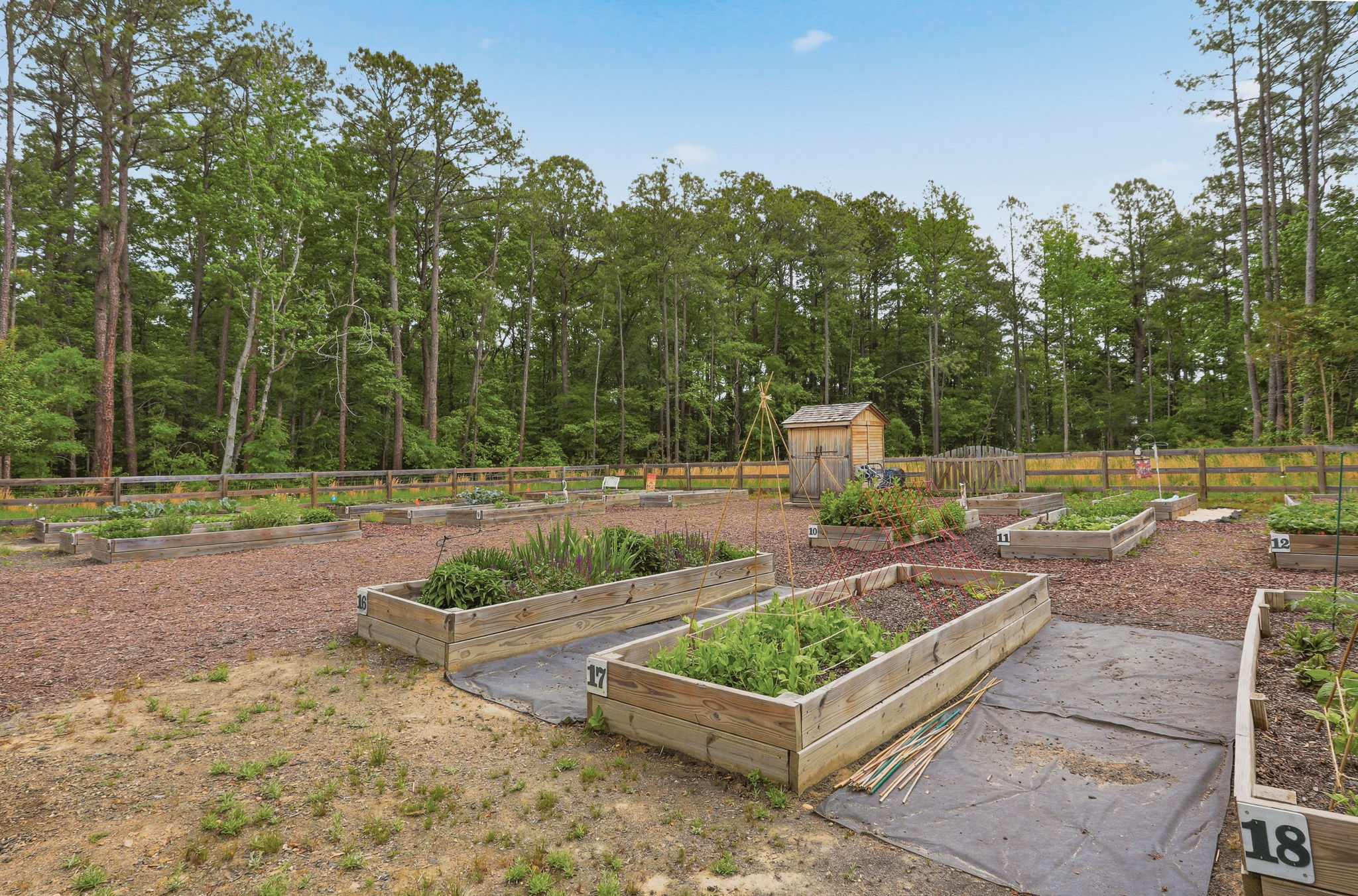 32-Community Garden