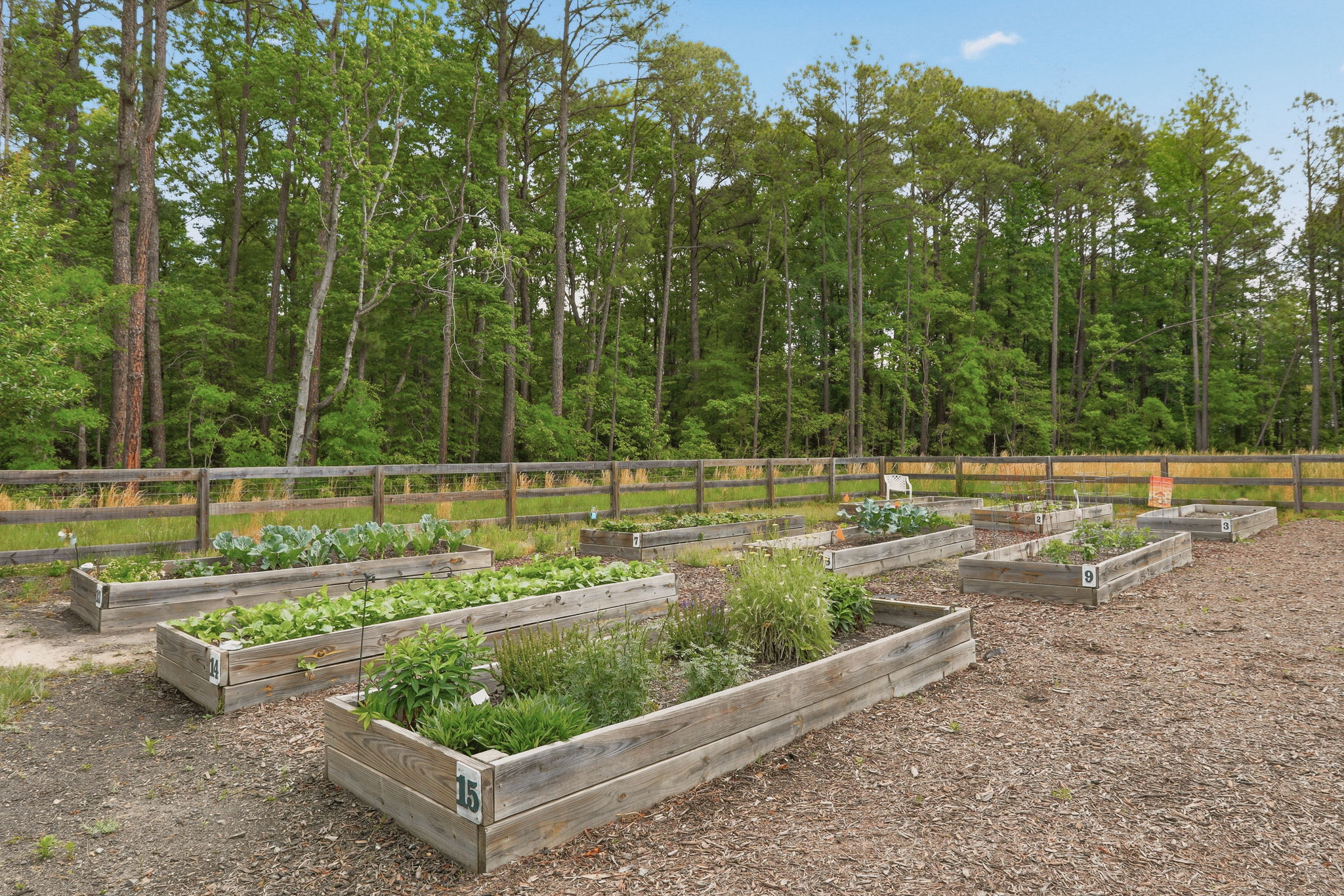 33-Community Garden