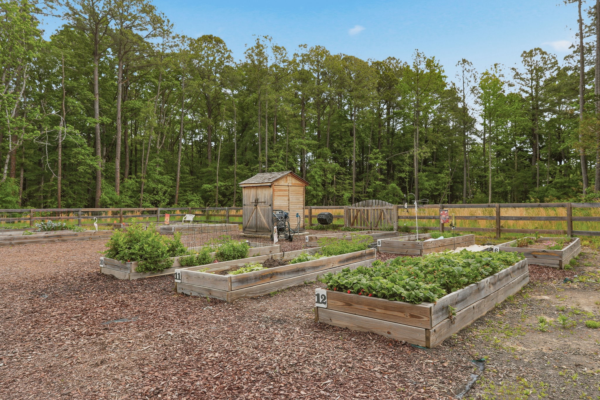 34-Community Garden