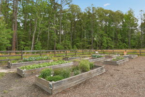 33-Community Garden