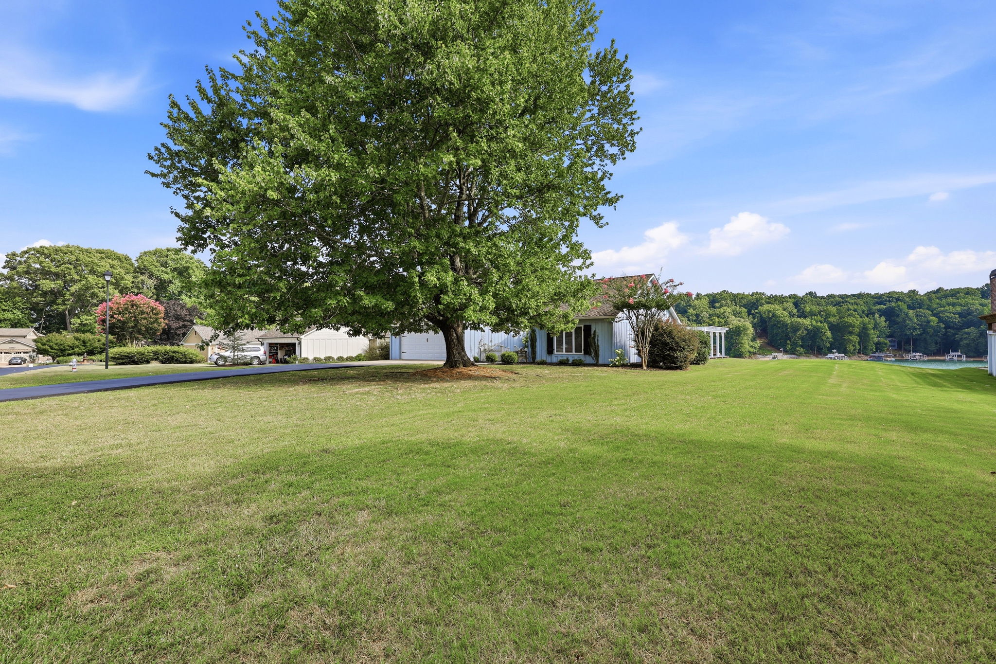  Photo 64