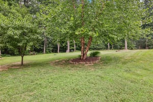 Hooper Rd-S1807-053.jpg