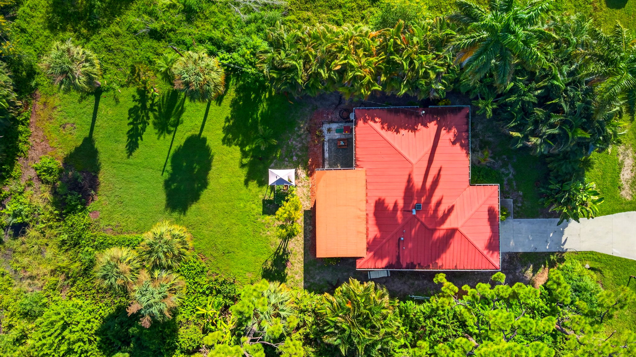 Aerial Overview