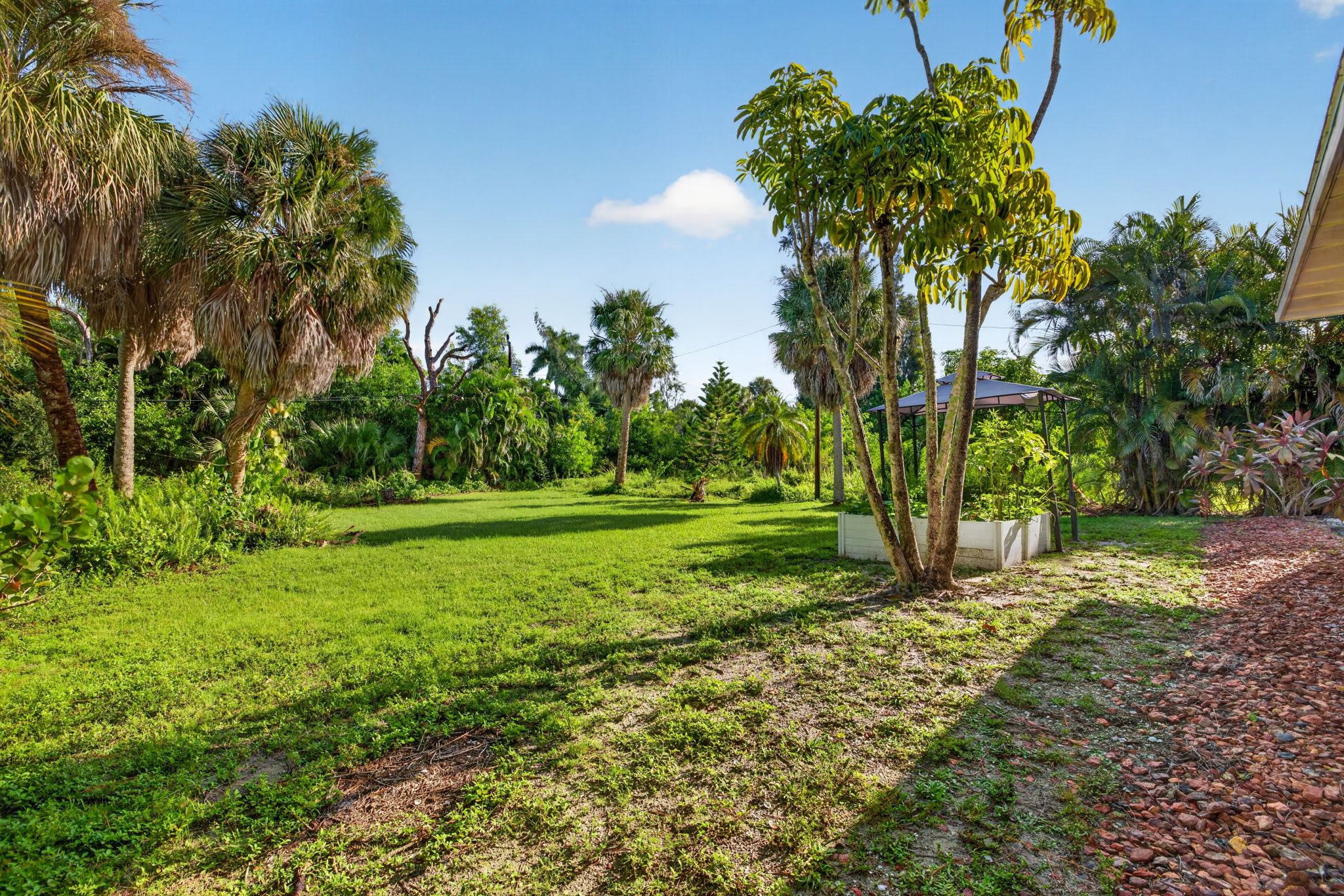 Backyard 2 of 3