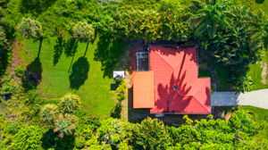 Aerial Overview