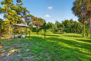 Backyard 1 of 3