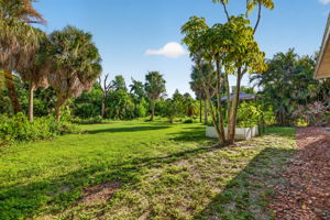 Backyard 2 of 3