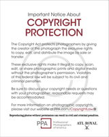 Z-Important Notice  Copyright Protection 2 copy