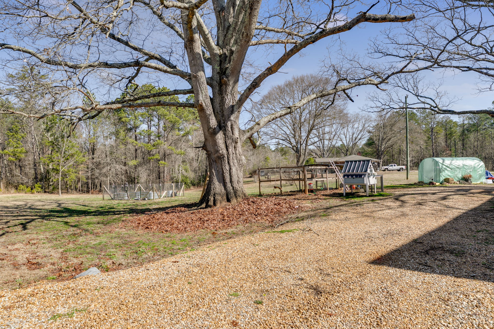 melissaprosserphotography363hutcheson34