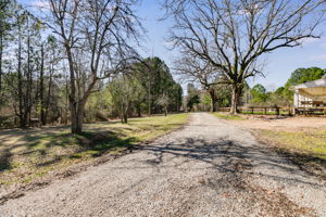 melissaprosserphotography363hutcheson41