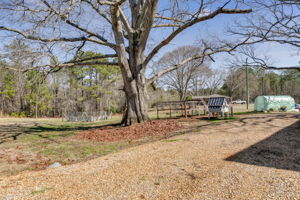 melissaprosserphotography363hutcheson34