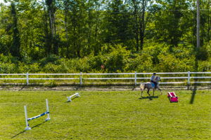  Photo 47