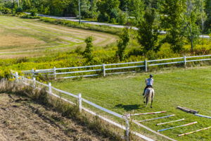  Photo 49