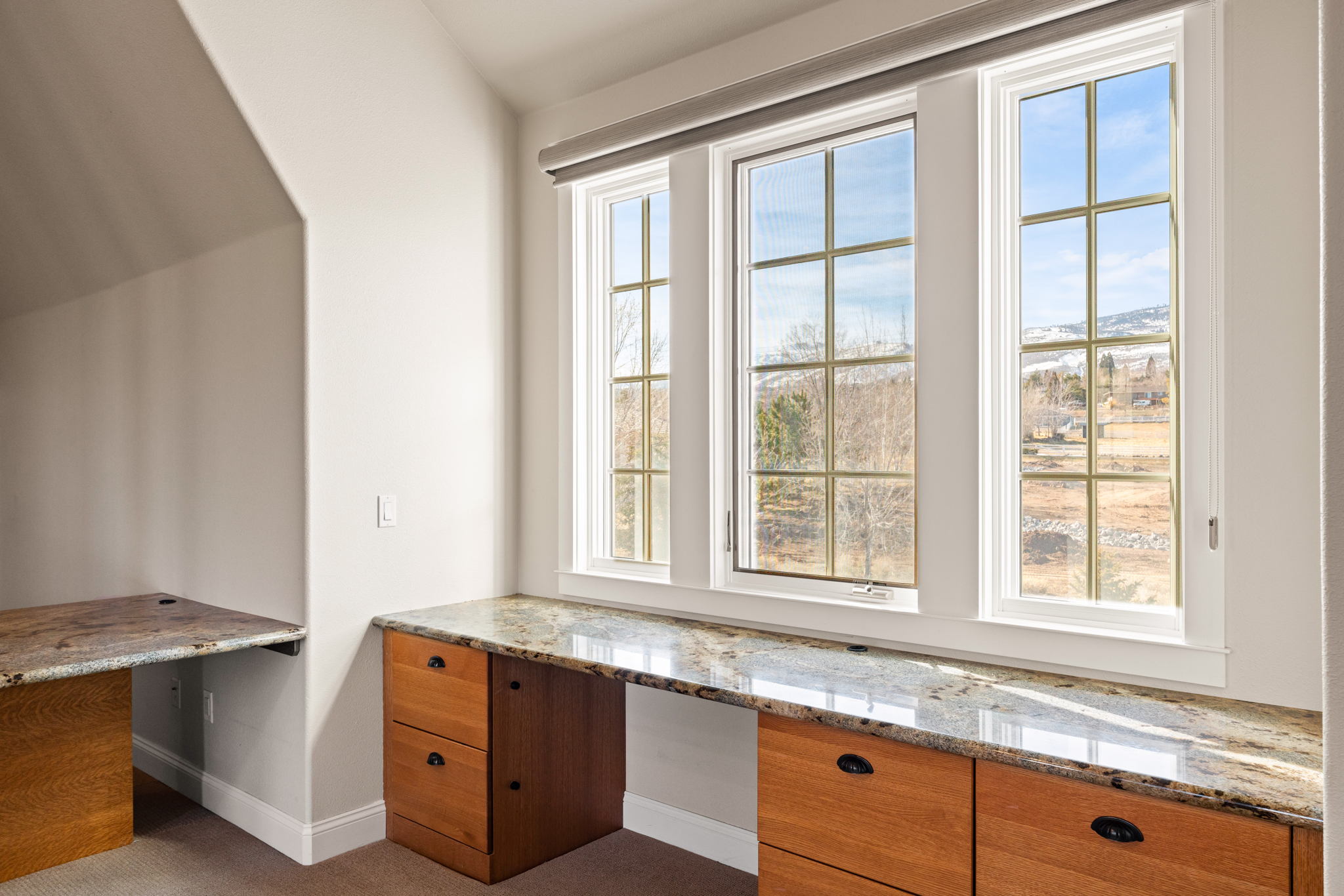 3630 Lamay Ln, Reno, NV 89511, USA Photo 47