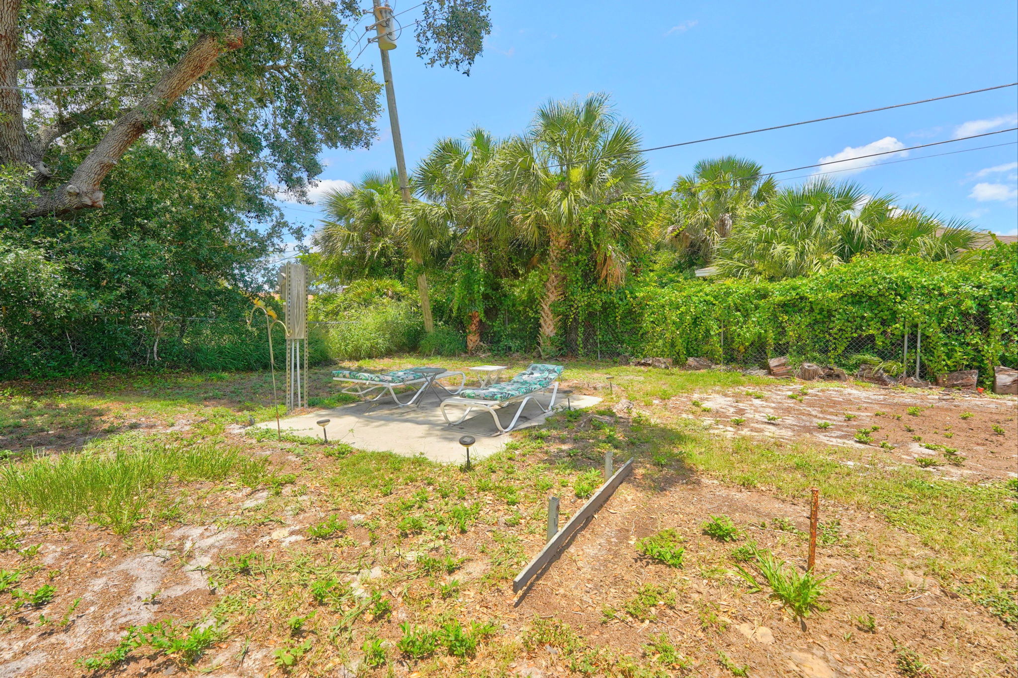 Backyard
