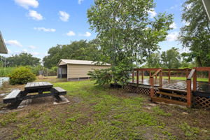  Photo 24