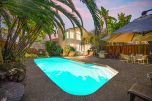 This image has been digitally altered. See original photo.