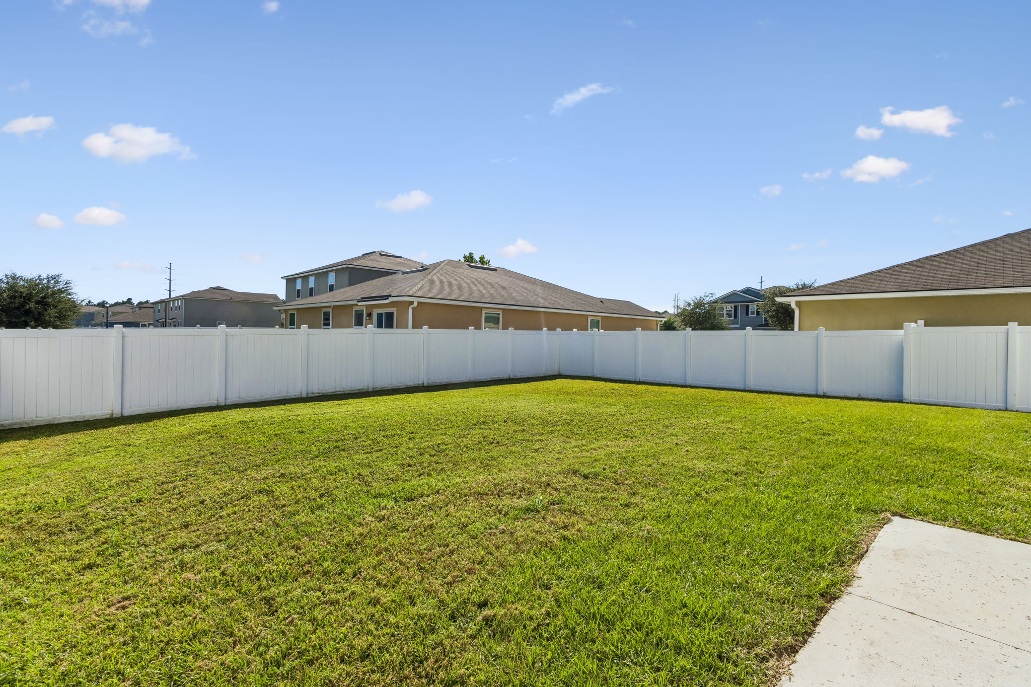 Back Yard