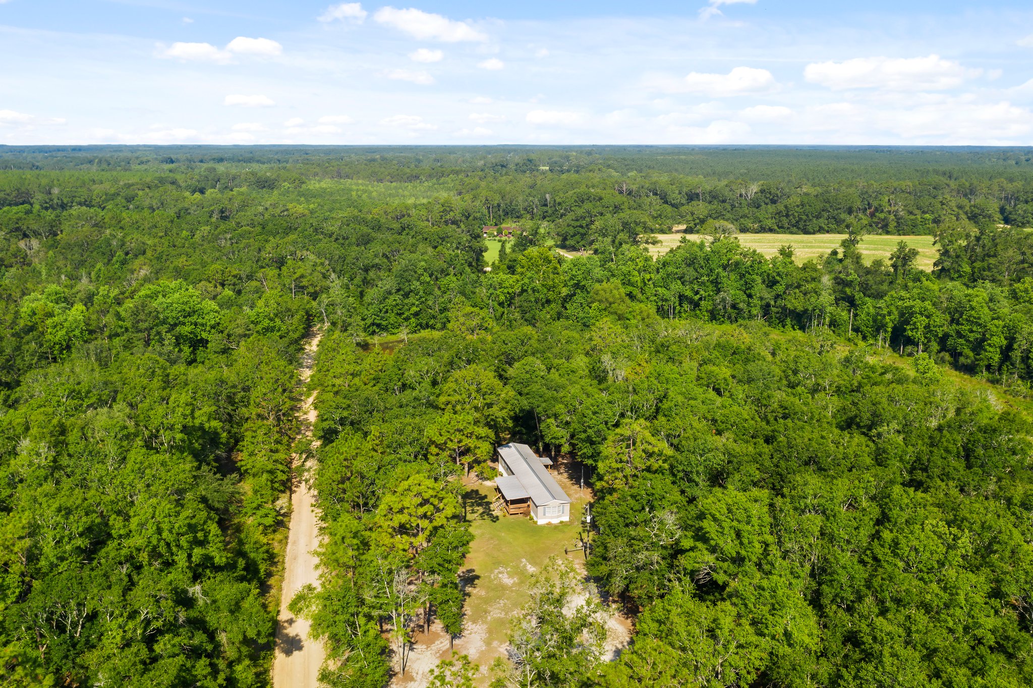 3633 Coleman Worley Ln, Graceville, FL 32440 Sirpixalot