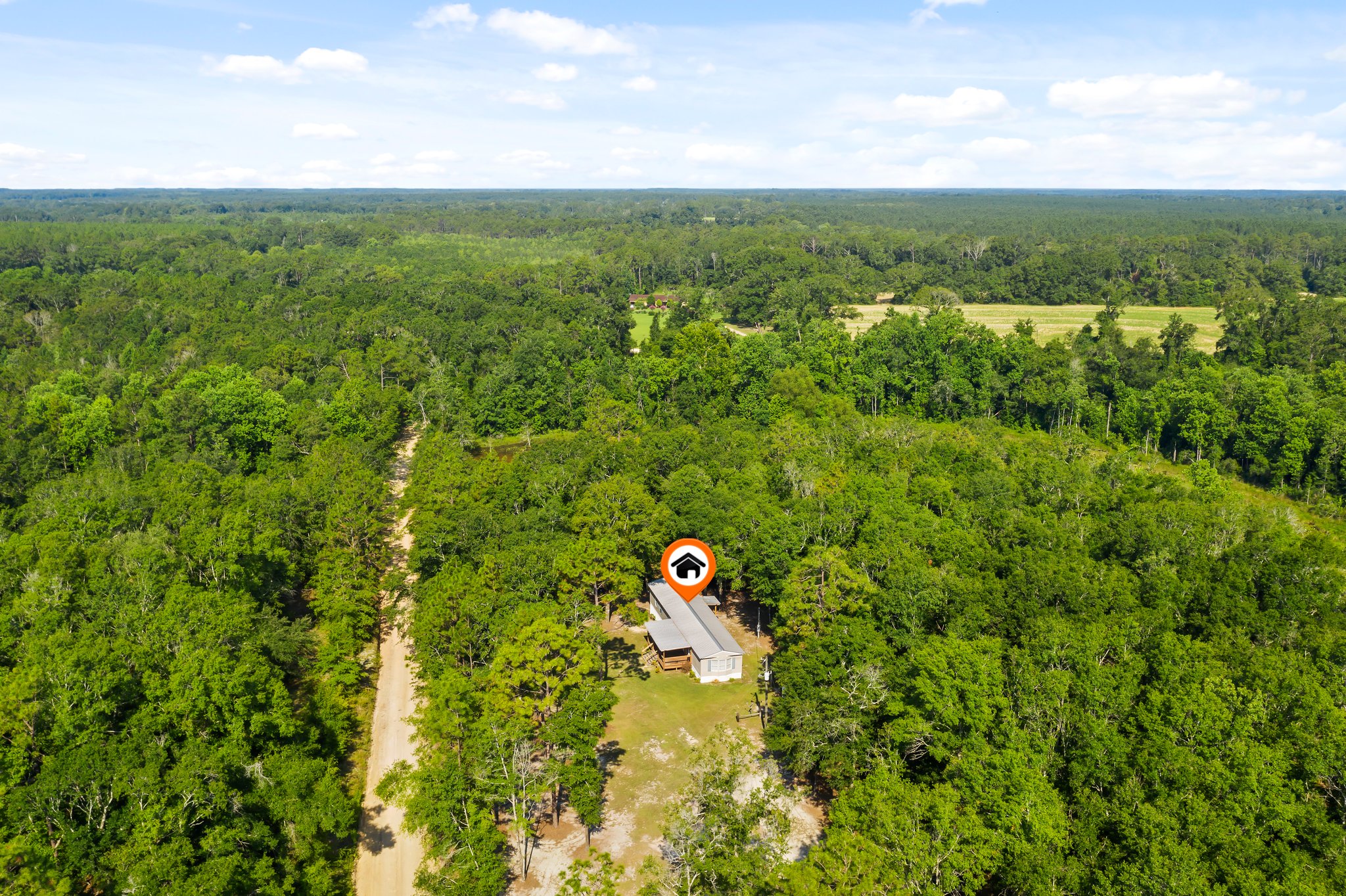 3633 Coleman Worley Ln, Graceville, FL 32440 Sirpixalot