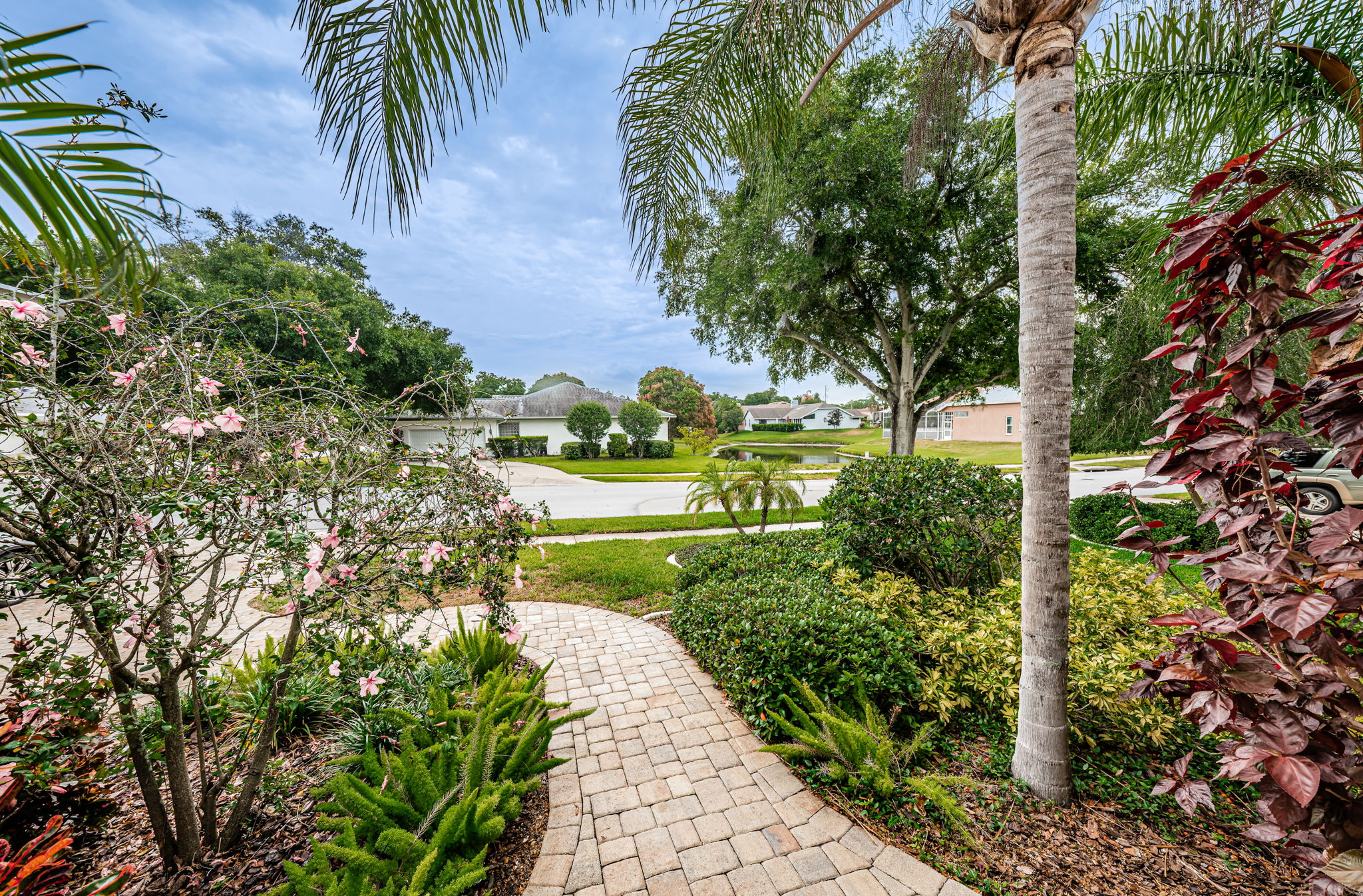 Frontyard View