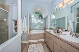 Master Bathroom1a