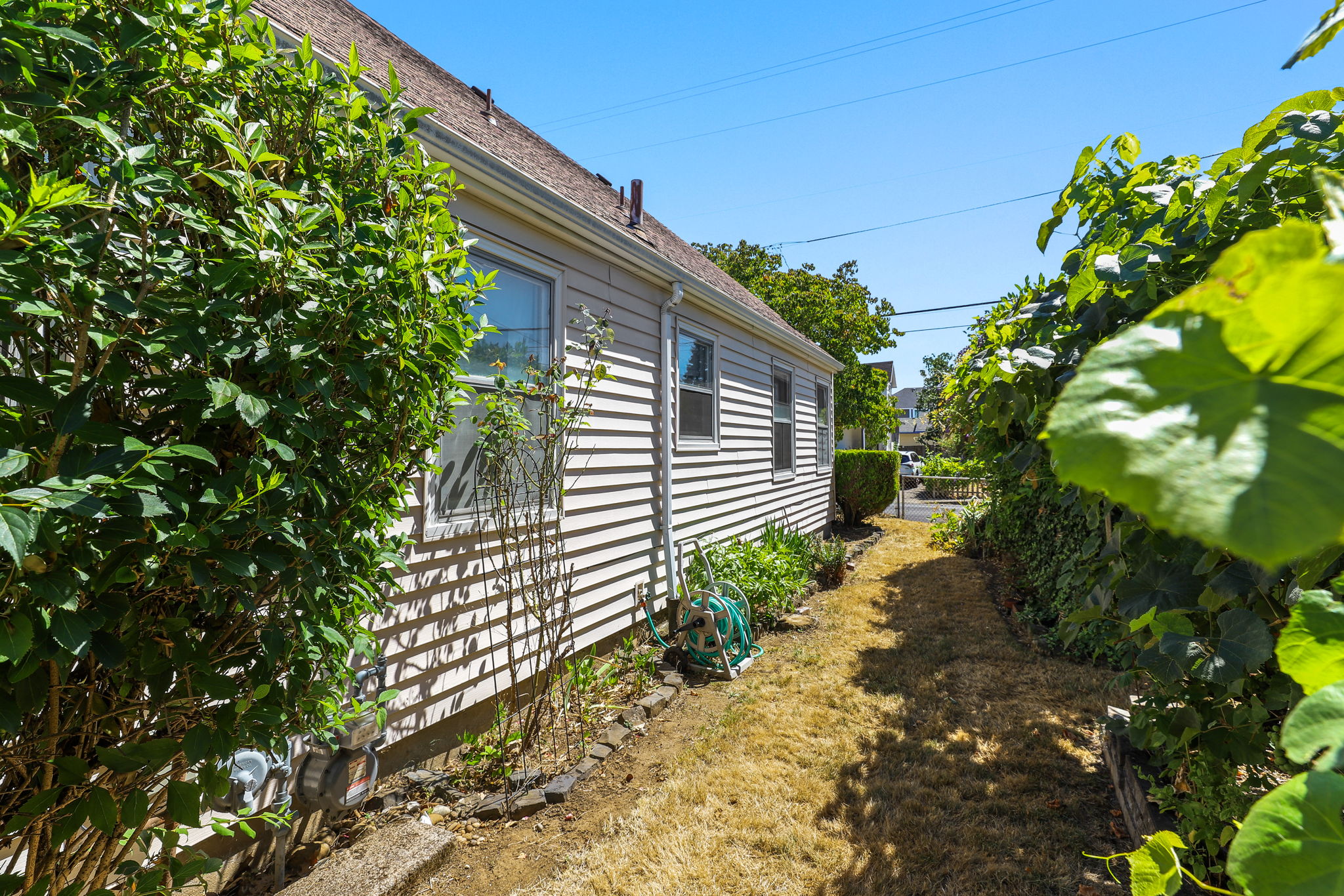 Photo 46