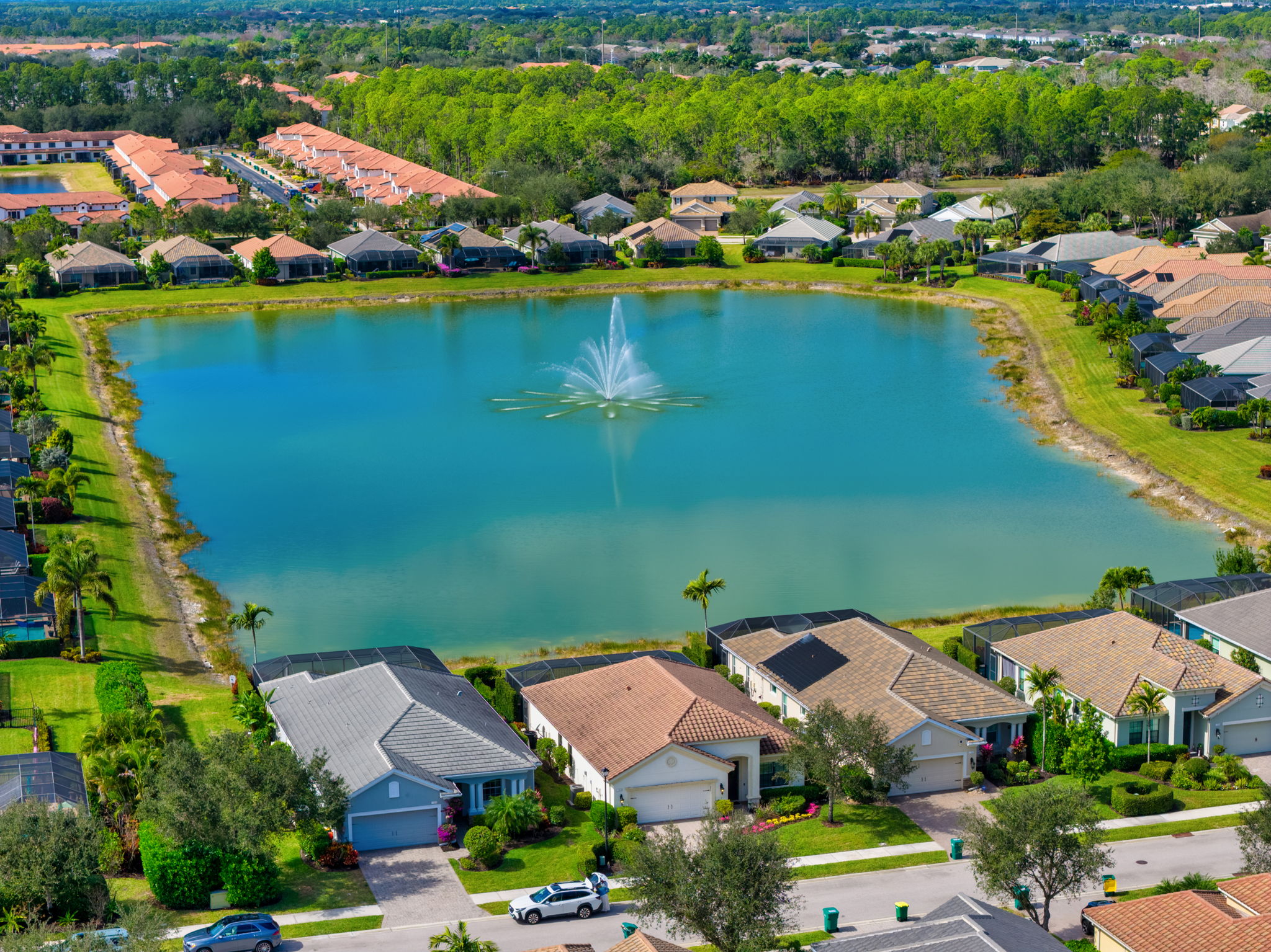 Aerial View of Lake and Neighborhood
