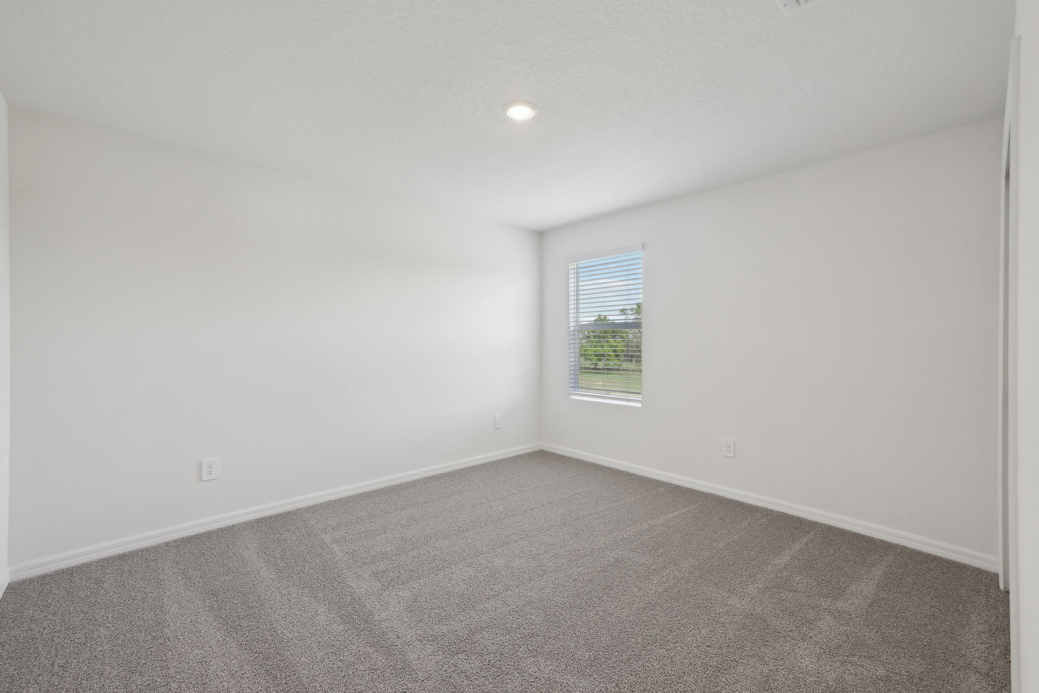 Tampa Division - Benton Hills - Lot 0030 - 3634 Moscato Drive, Brooksville, FL 34602 - 036